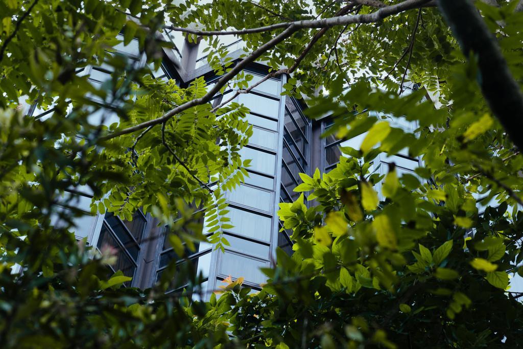 Primacy Apart Hotel マル・デル・プラタ エクステリア 写真